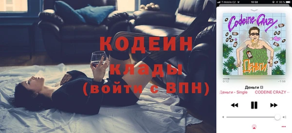 дурь Алексин
