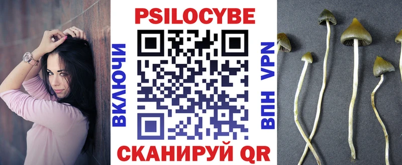 Псилоцибиновые грибы прущие грибы  Темрюк 